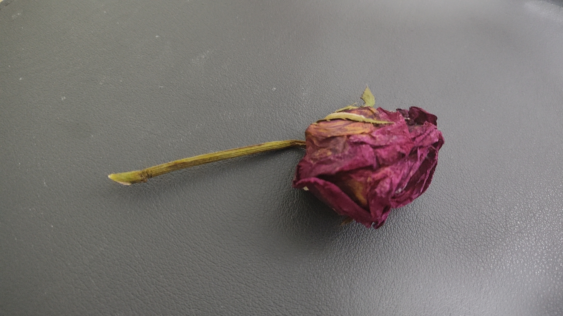 黄黄的花