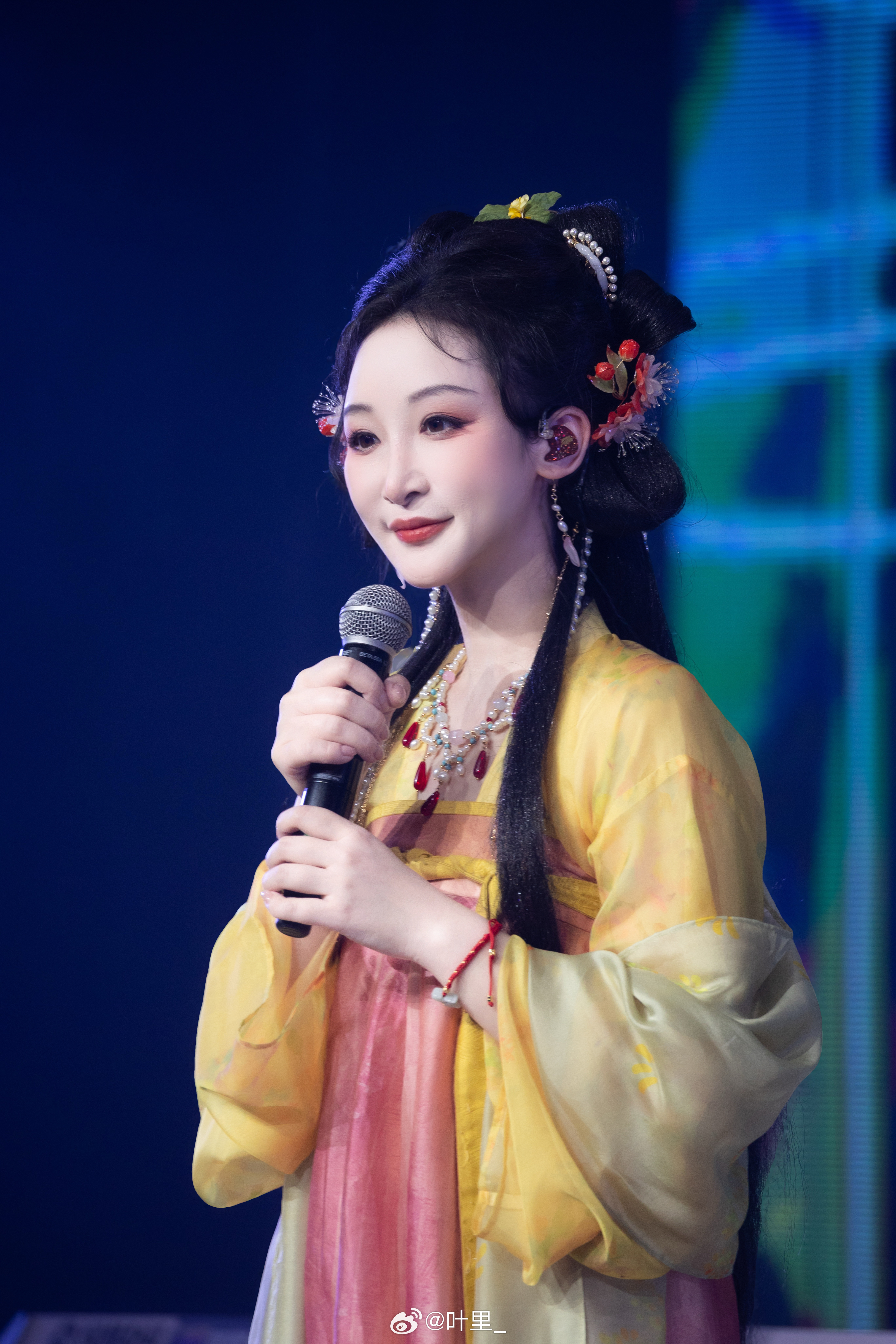 官摄叶里